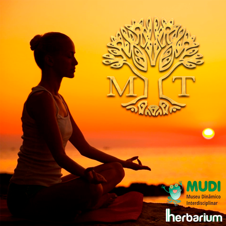 UEM promove novo curso gratuito de  Meditação Transcendental
