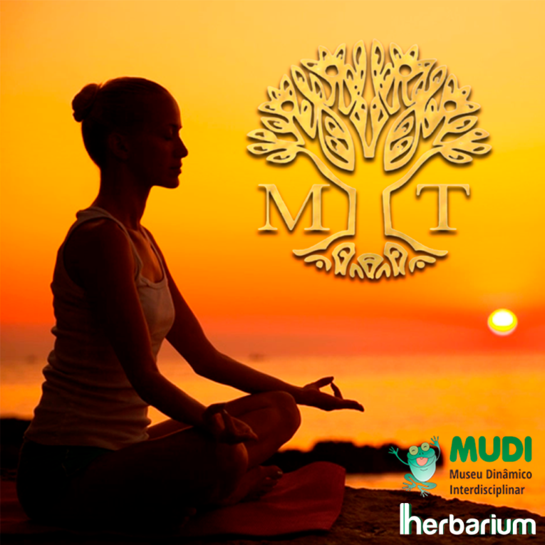 Curso de Meditação Transcendental abre novas turmas com novidades 