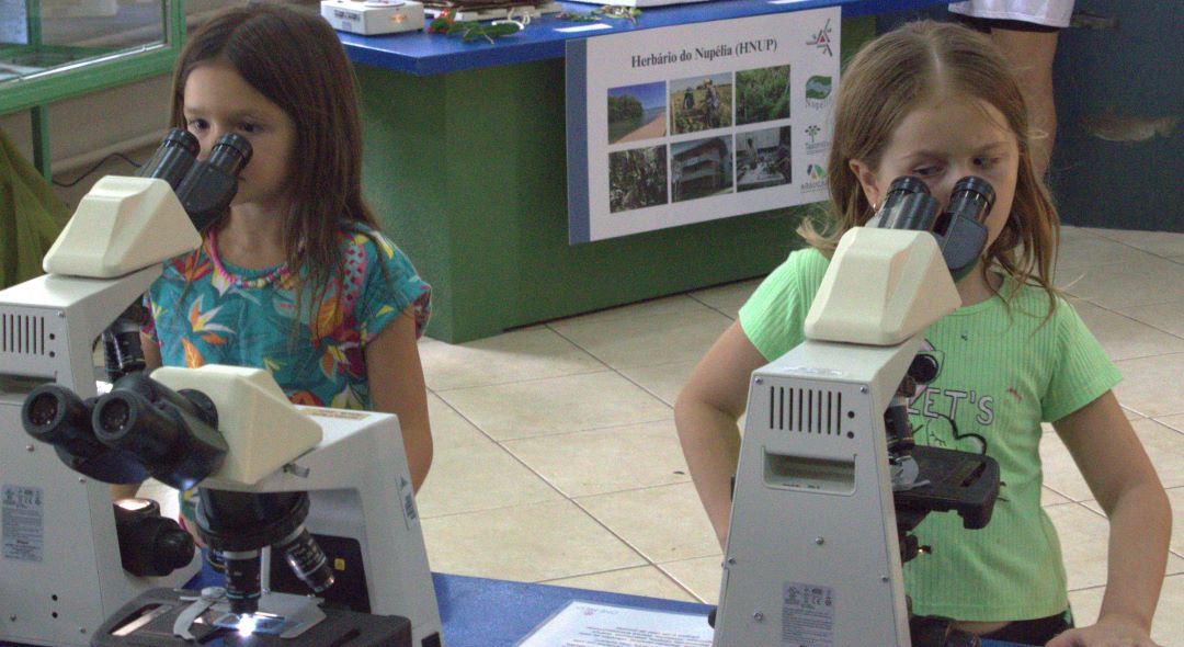 Além de preservar acervos, museus universitários paranaenses produzem ciência