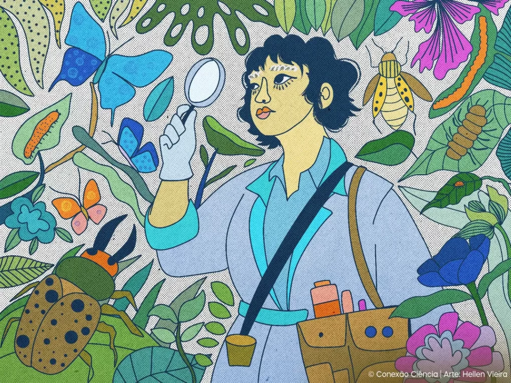 Mudi 40 anos: Coleção Entomológica Yoko Terada