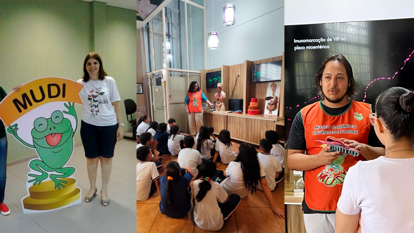 Mudi 40 anos: gerações de monitores e o impacto em suas vidas