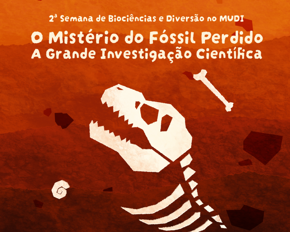 Mudi: colônia de férias promove brincadeiras para ensinar ciências